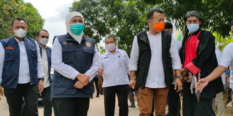 unggulan ffd