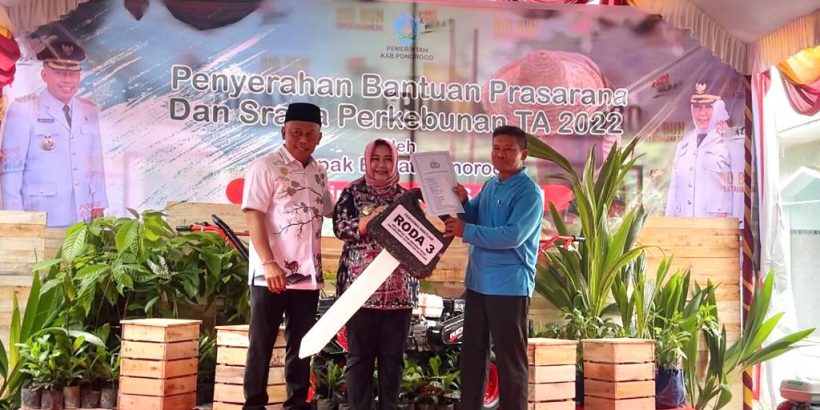 unggul 7
