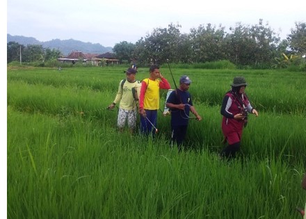 biosaka sampung1