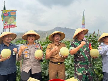 melon 0