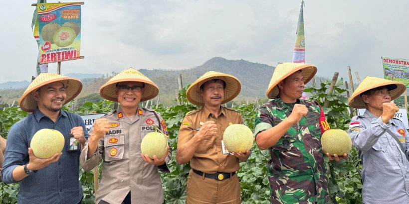 melon 0